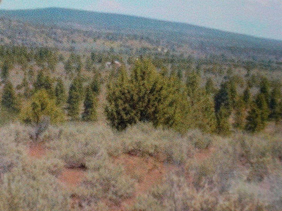 2nd image of 7200 Old Bly Rd