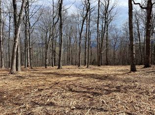 Tbd Peaksview Dr, Williamsville, VA 24487