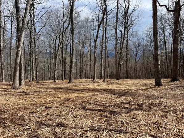 Tbd Peaksview Dr, Williamsville, VA 24487