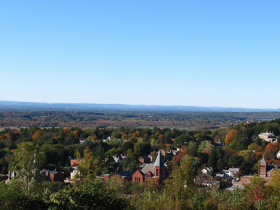 Henry Park view