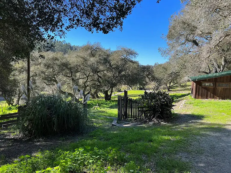 Hambey Ln — Photo 35