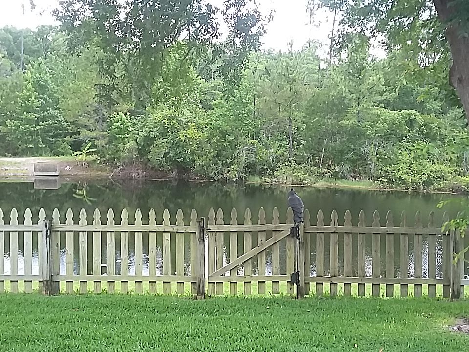 1st image of 684 Carrigan Woods Trl