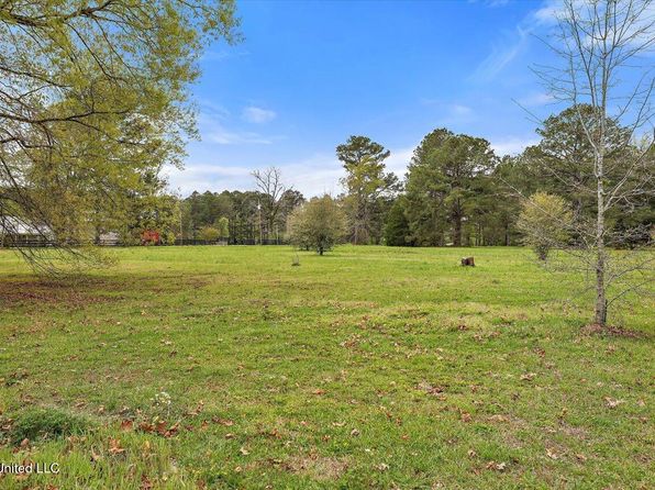 124 Gus Phillips Rd, Braxton, MS 39044