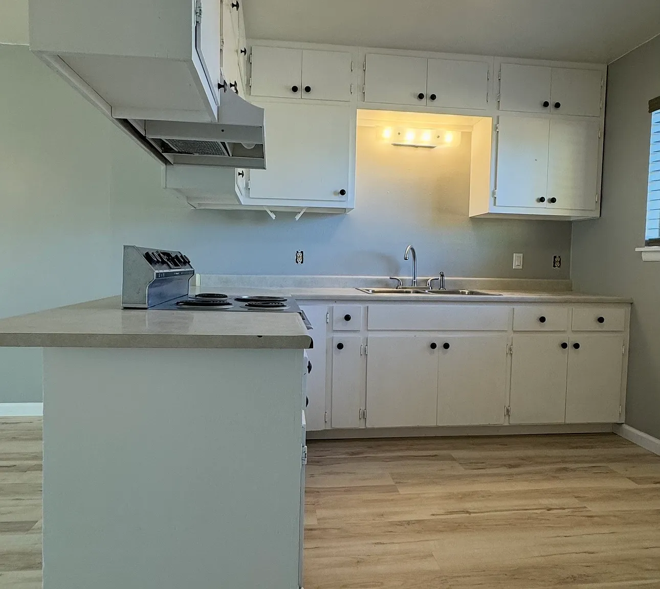 2 bed, 1000 sqft, $1,500 — Photo 1