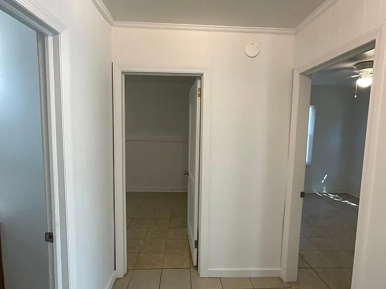 3005 Abelia Dr — Photo 5