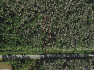 0 Deen Still Rd E, Polk City, FL 33868