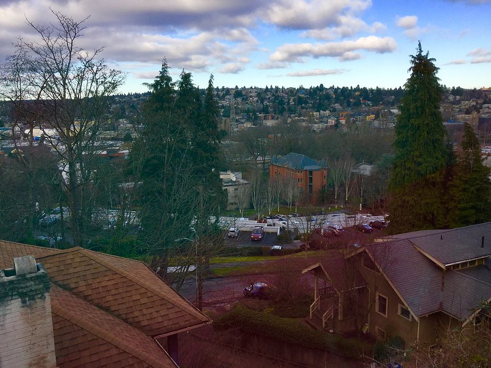 View from living room window and private deck