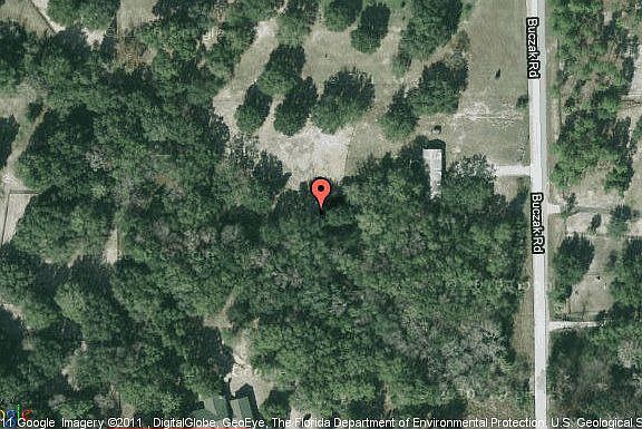 Map View