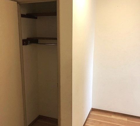 Extra/Broom/Pantry Closet