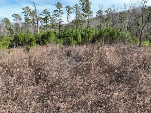 TRACT 10 Grassy Ln, Mena, AR 71953