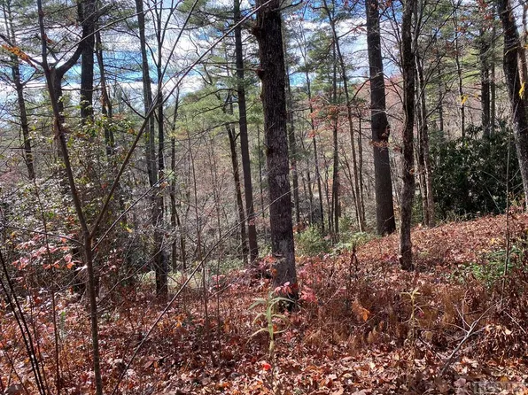 (undisclosed Address), Cullowhee, NC 28723
