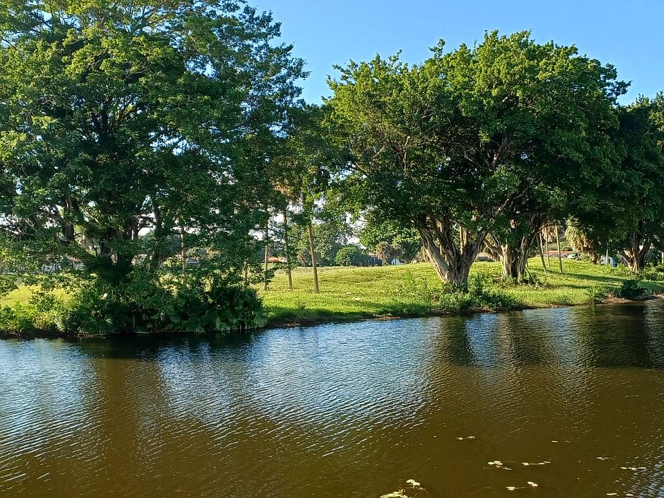 view from the house