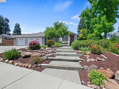 335 Beverly St, Livermore, CA, 94550