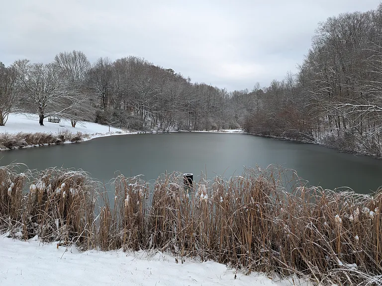 The pond on a rare day of snow