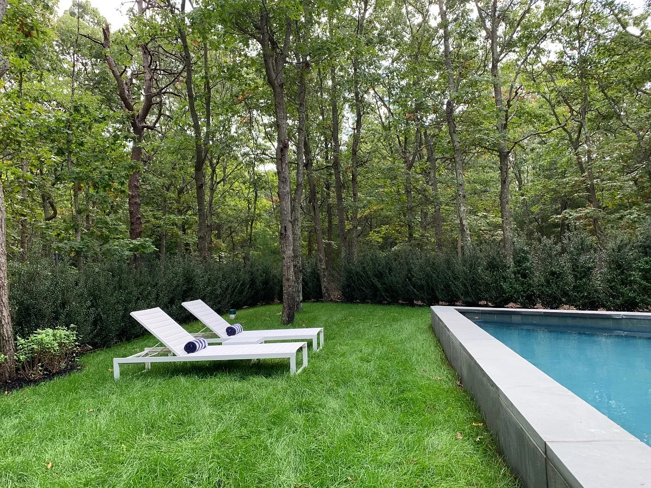 Cool Contemporary with New Modern Pool — Photo 4