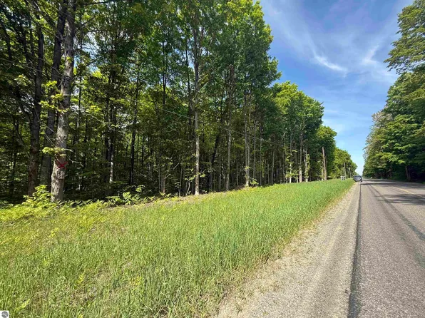 0 Starvation Lake Rd NE, Mancelona, MI 49659