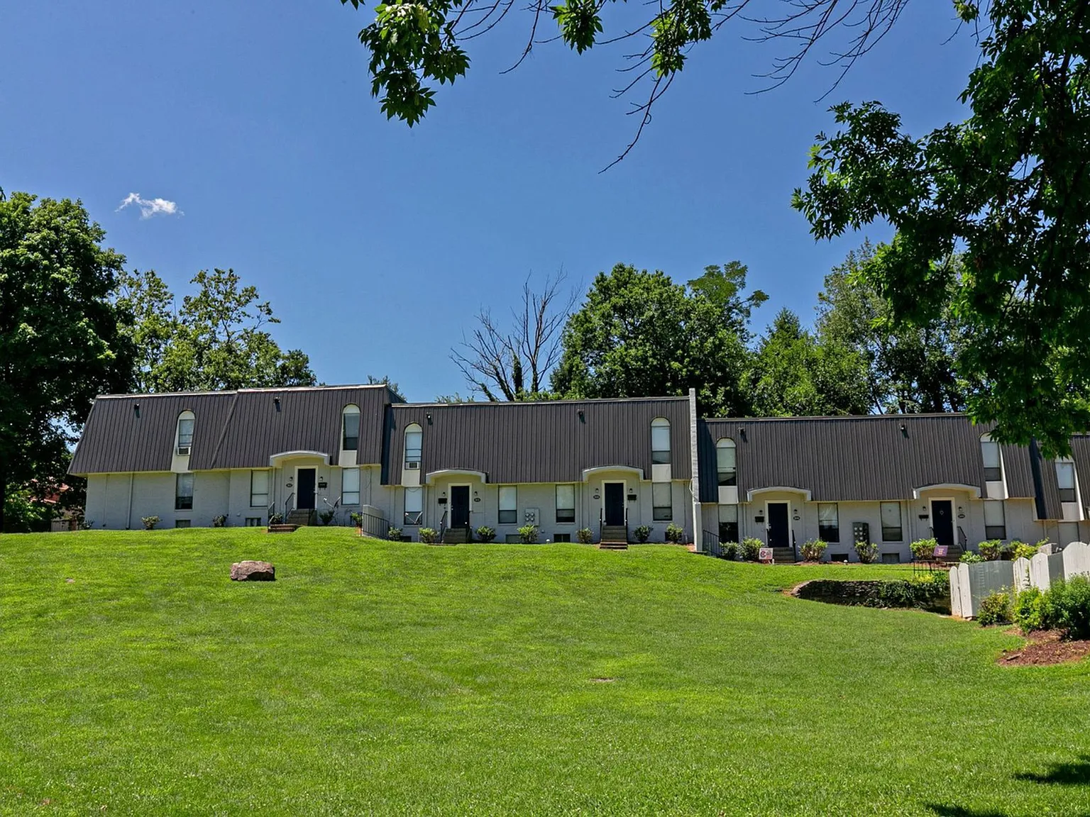 Vines at Shelby Crossing — Photo 3