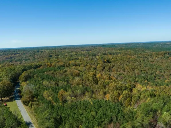 36 Co Rd, Brilliant, AL 35548