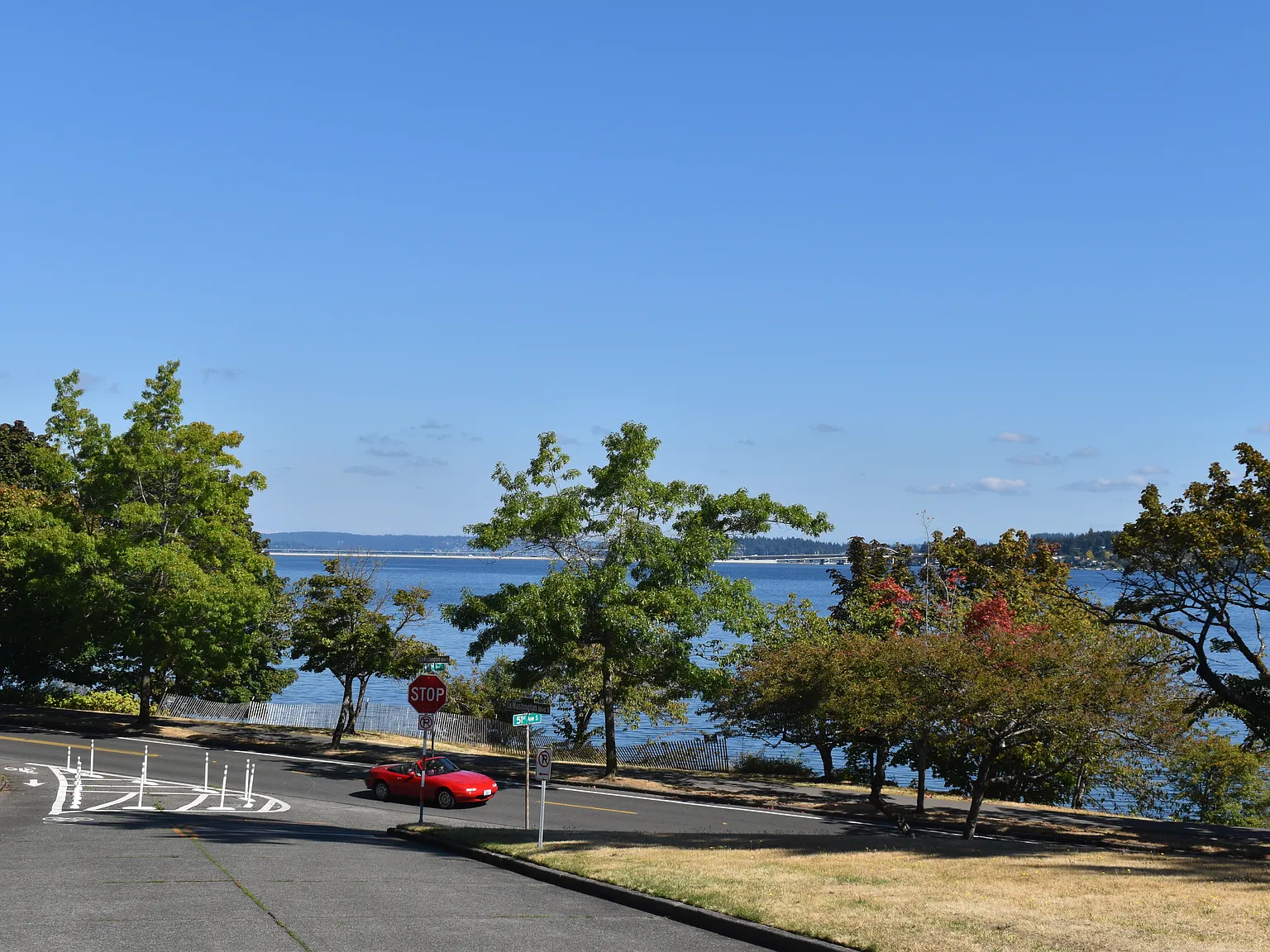 1 bed, 515 sqft, $1,590 — Photo 1