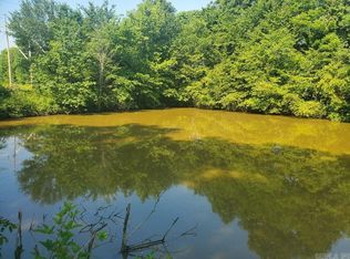 Clay 349 Rd, Piggott, AR 72454