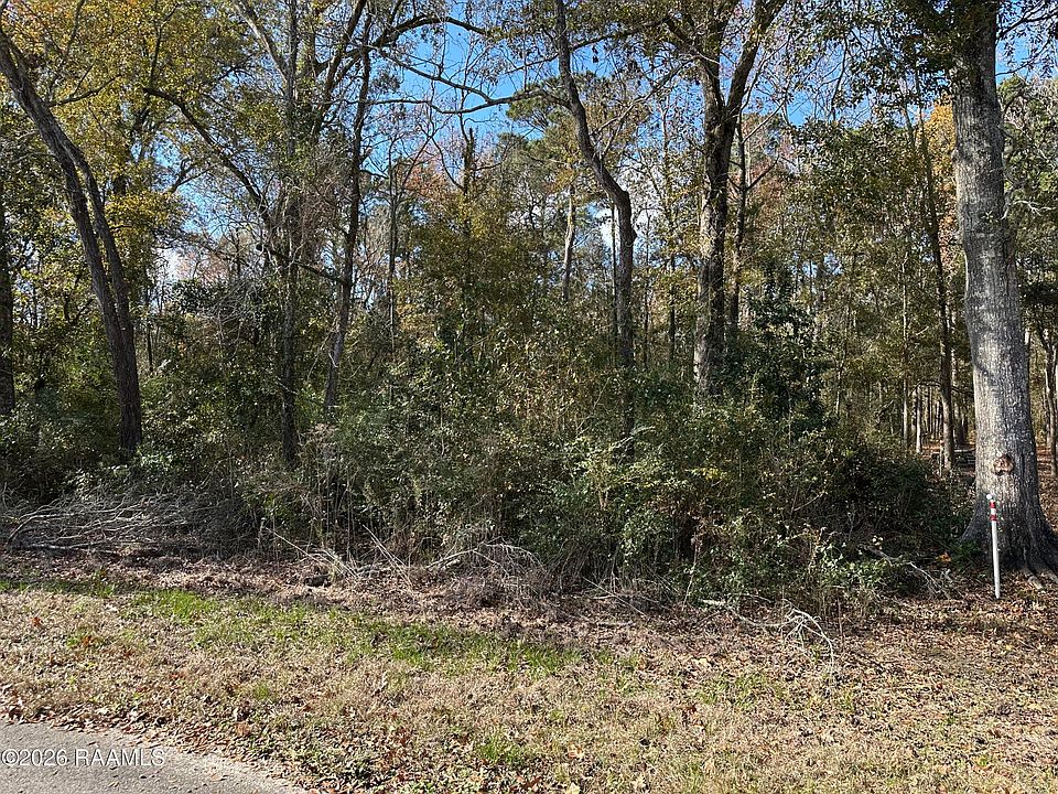 2nd image of Hoffpauir Rd