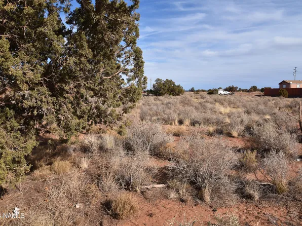 482 E Laramie Dr, Williams, AZ 86046