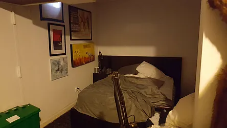 Rented by SAS Properties, Inc.