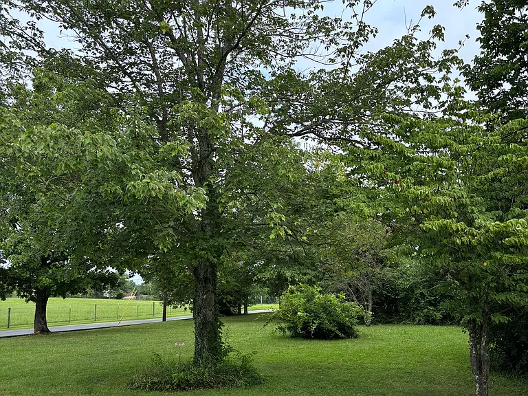 625 Greens Crossing Rd — Photo 7