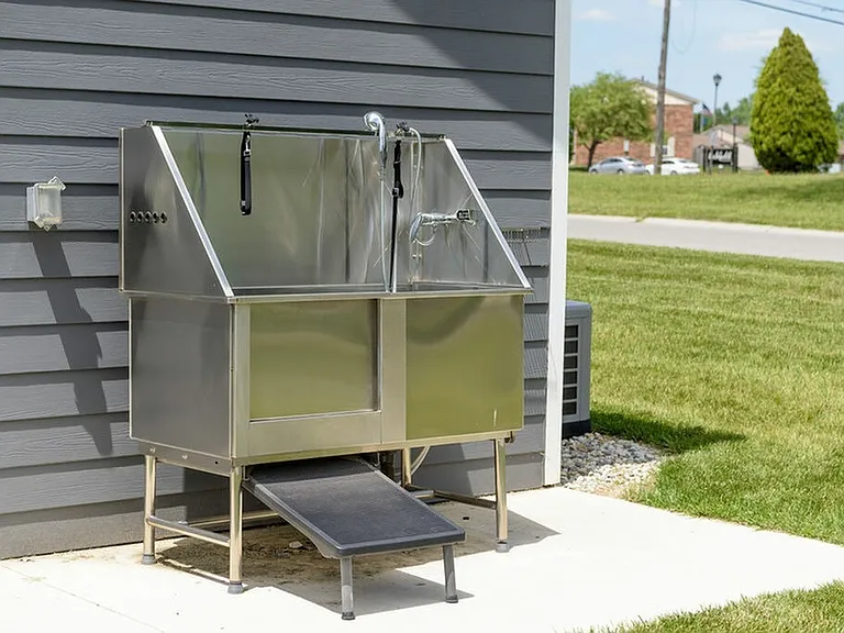 Dog Wash