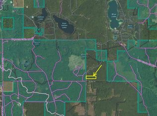 5124 Blue Lake Rd NE, Kalkaska, MI 49646