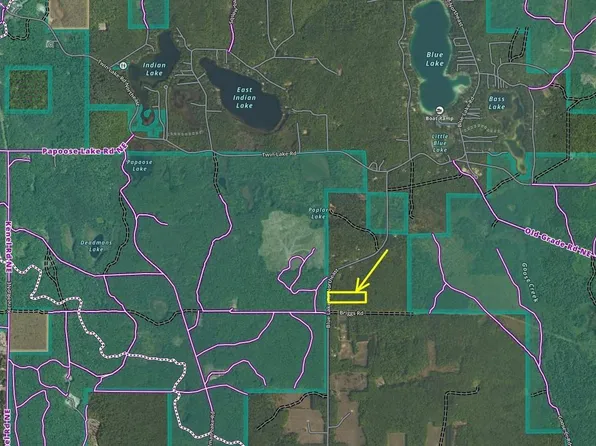 5124 Blue Lake Rd NE, Kalkaska, MI 49646