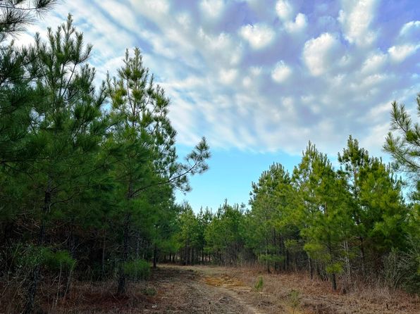 0 Pine Ridge Rd TRACT 2, Purvis, MS 39475