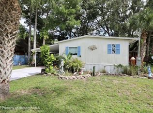 6421 Theresa Ave, Weeki Wachee, FL 34607