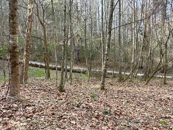 LOT Rabbit Hill Rd #8, Del Rio, TN 37727