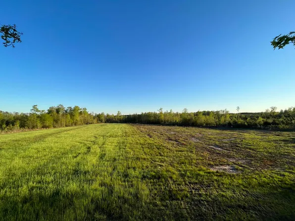 0 Cedar Cut Rd, Luverne, AL 36049