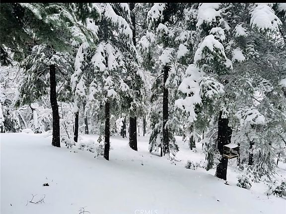 3rd image of 628 Rose Ln