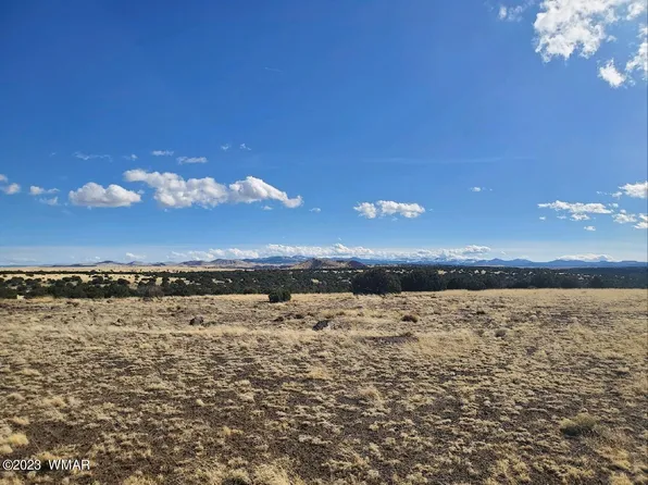 County Road 5141, Concho, AZ 85924