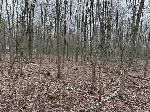 Donnerville Rd Lot 3, Russell, NY 13684