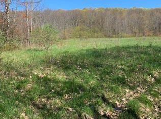 Finch Rd, Franklin, NY 13775