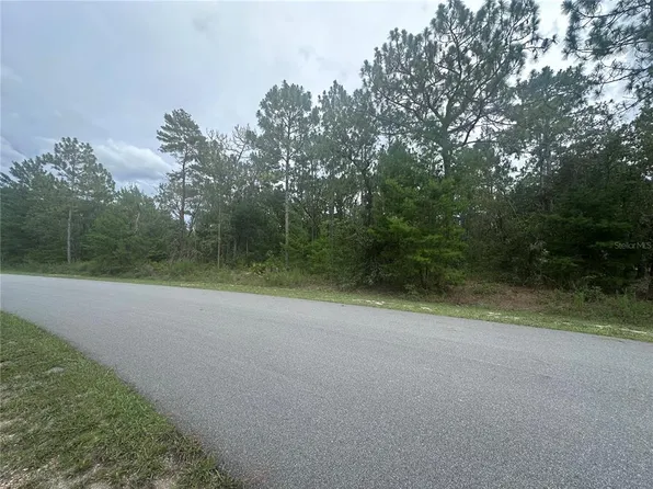 2223 CR 243F LOT 10, WILDWOOD, FL 34785
