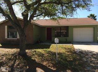 10206 Explorer Ct, Tampa, FL 33615
