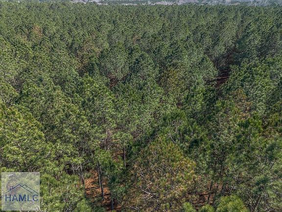 3rd image of 3 Ben Giddens Rd