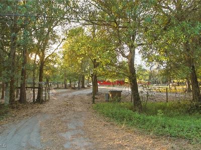 6850 Carmelita Dr, Fort Myers, FL, 33905