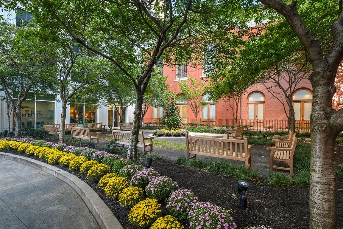 Shaded Courtyard