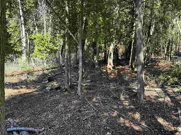 4th image of 4254 Pine Cove Ln