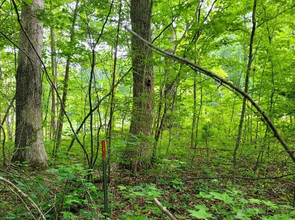 Lake Pointe Ct #30, Pamplin, VA 23958