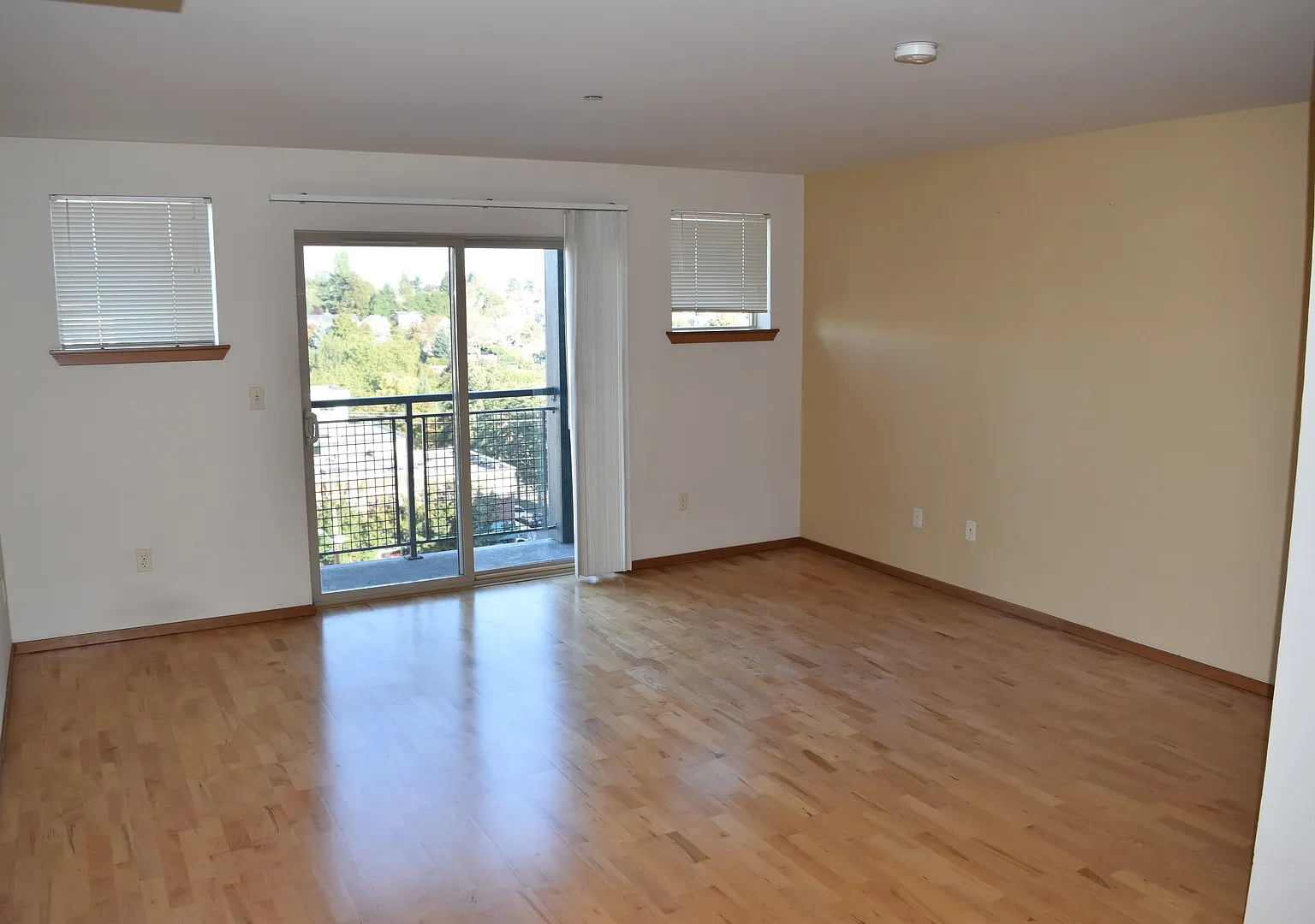 One Bedroom Studio With A View - Excellent Location! Available Now For $1750! — Photo 3