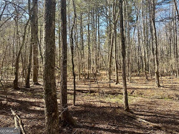 4th image of 555 Larmon Forks Rd