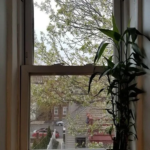 227 Hurley St #3 — Photo 15