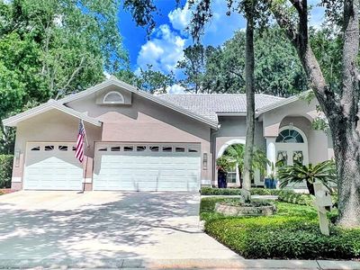 9322 Wellington Park Cir, Tampa, FL, 33647